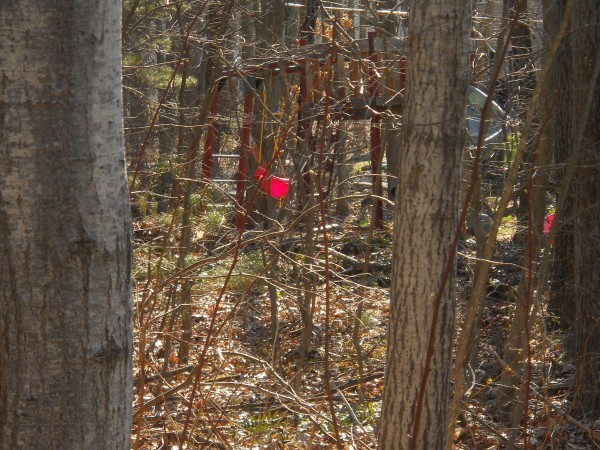 red swing