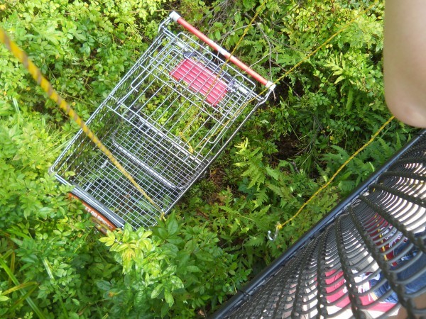 shopping cart 3