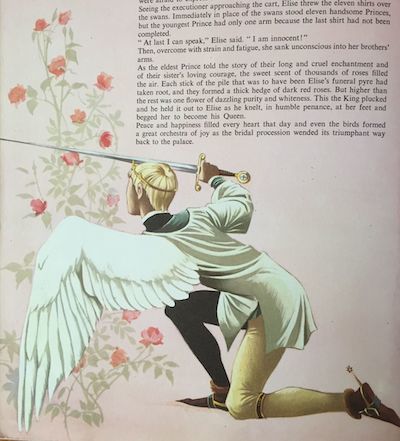 Anne and Janet Grahame Johnstone wild swans illo