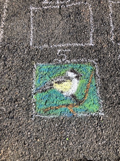 chickadee