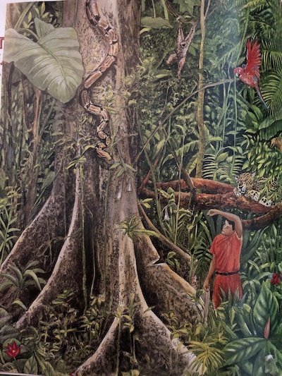 Lynne Cherry The Great Kapok Tree