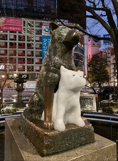 Snow hachiko face on (清水哲朗: @GOBIGUMA)