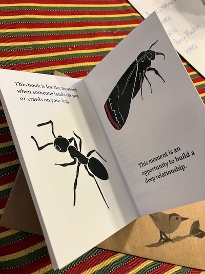 drawing of an ant and a moth, with text
